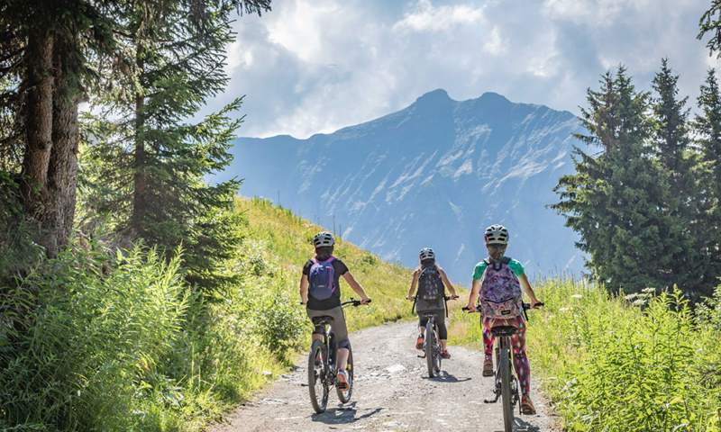 VTT débutant en forêt à Megève, Haute-Savoie